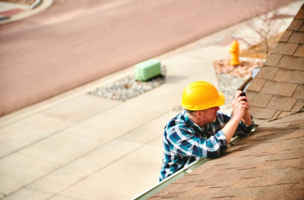 Best Roof Gutter Cleaning  in Hayfield, VA