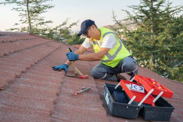 Best Roof Gutter Cleaning  in Hayfield, VA