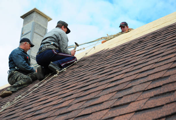 Best Commercial Roof Installation  in Hayfield, VA