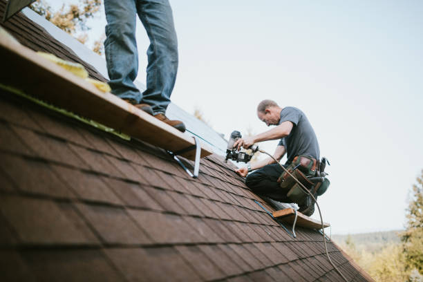 Best Storm Damage Roof Repair  in Hayfield, VA