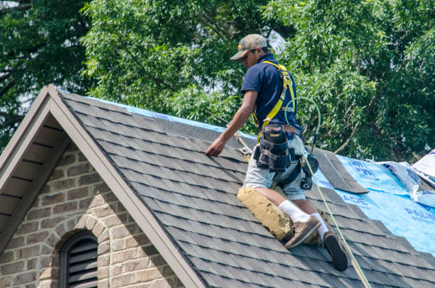 Best Roof Repair Specialists  in Hayfield, VA